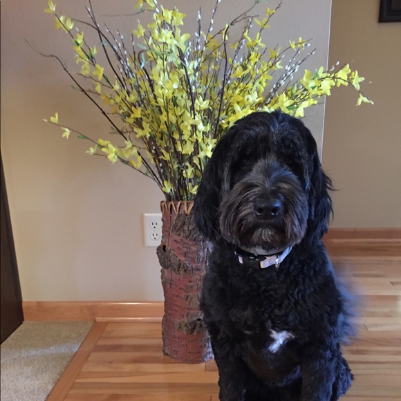 Meet your Posher, Anne - Picture 1 of 1